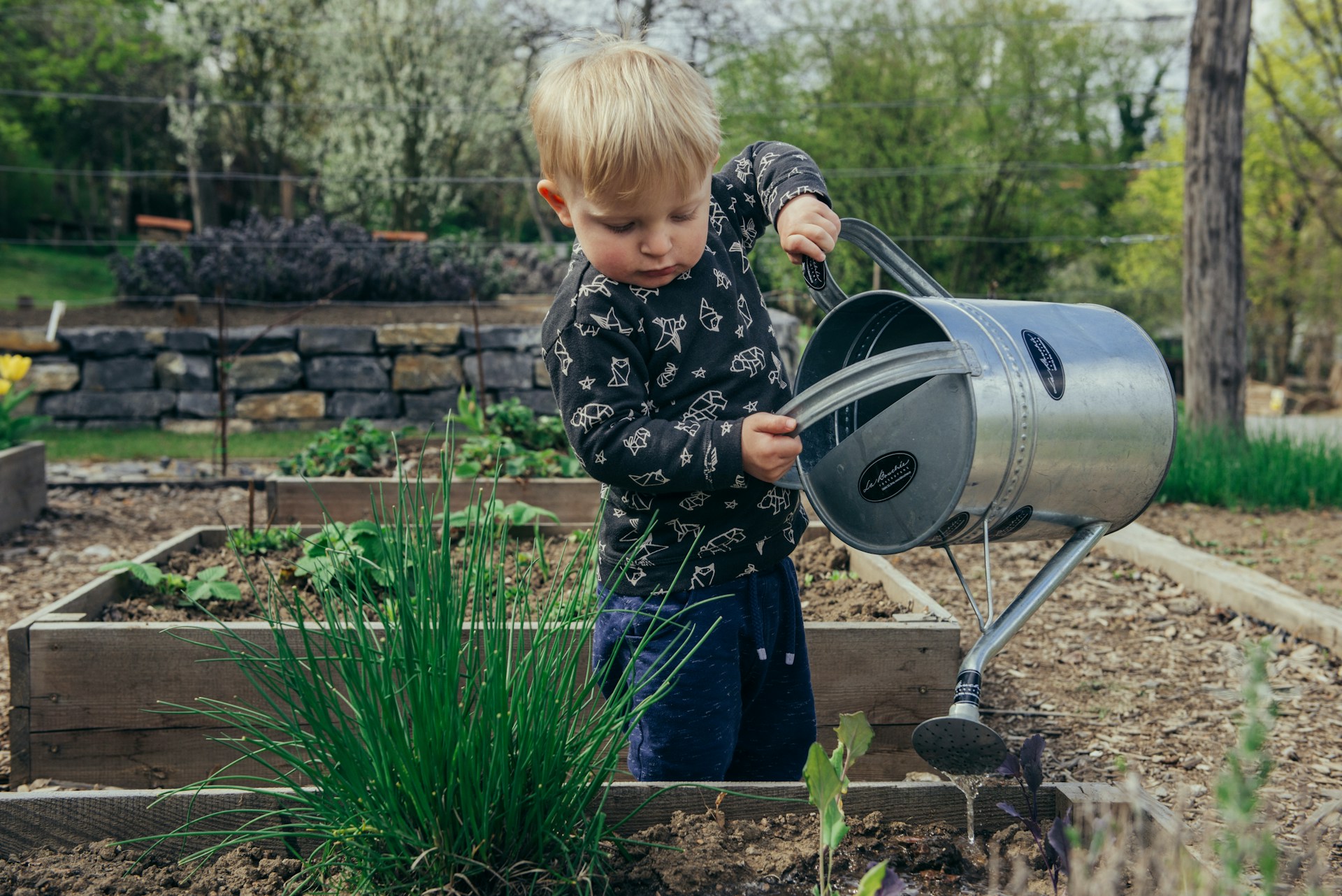 Summer Projects: The Great DIY vs. Outsourcing Debate