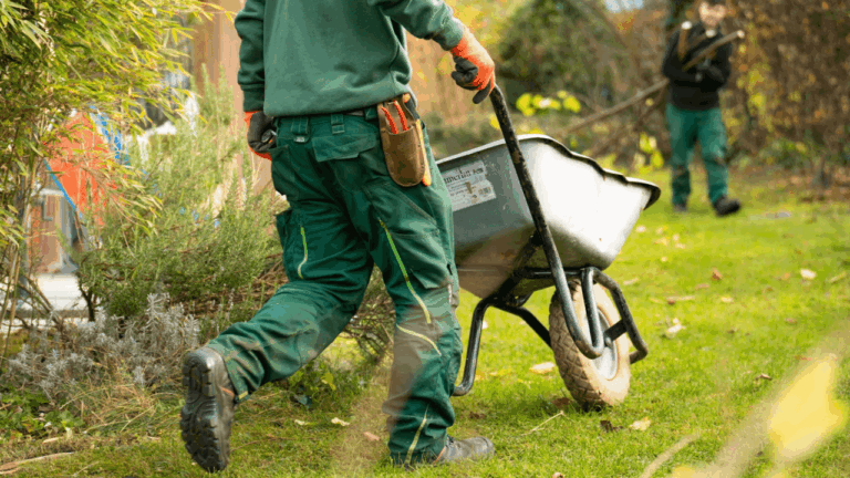 Smart ways to find a landscaping service that won’t break the bank
